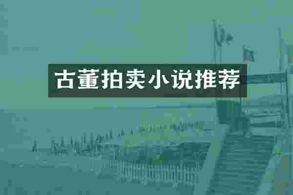 古董拍卖小说推荐