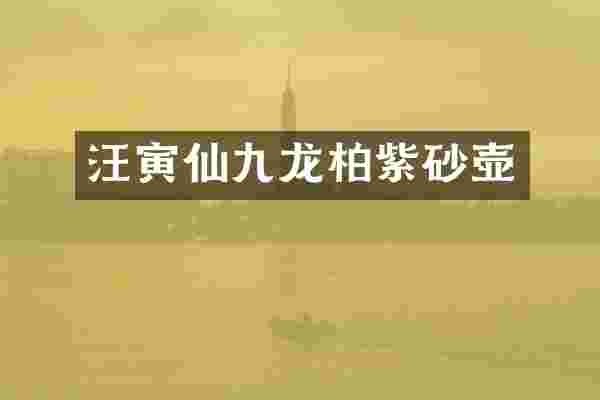 汪寅仙九龙柏紫砂壶