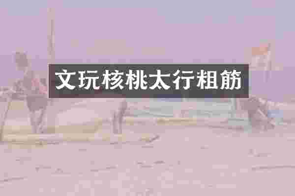文玩核桃太行粗筋