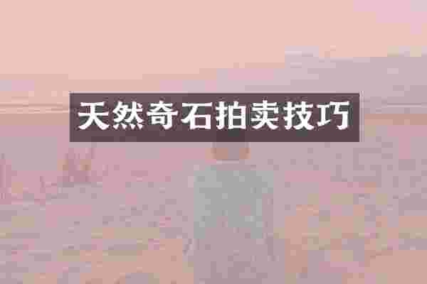 天然奇石拍卖技巧