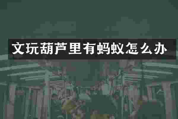 文玩葫芦里有蚂蚁怎么办