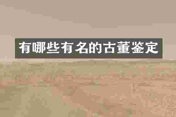 有哪些有名的古董鉴定
