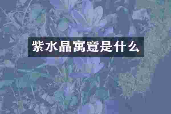 紫水晶寓意是什么