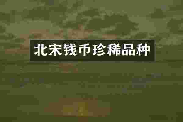 北宋钱币珍稀品种