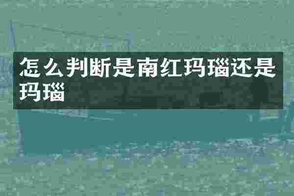 怎么判断是南红玛瑙还是玛瑙