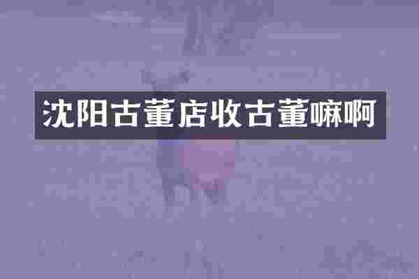 沈阳古董店收古董嘛啊