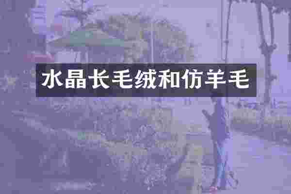 水晶长毛绒和仿羊毛
