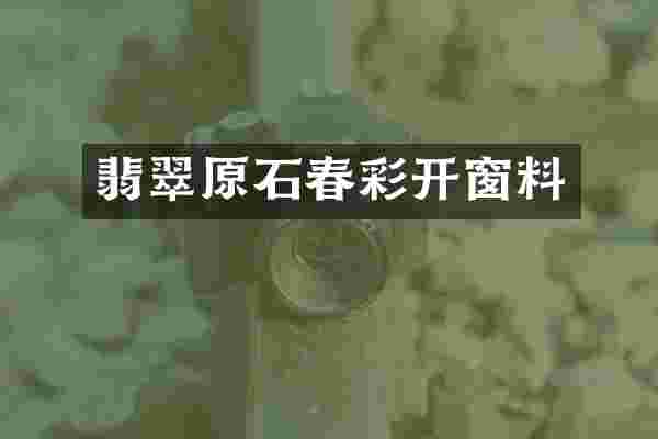 翡翠原石春彩开窗料