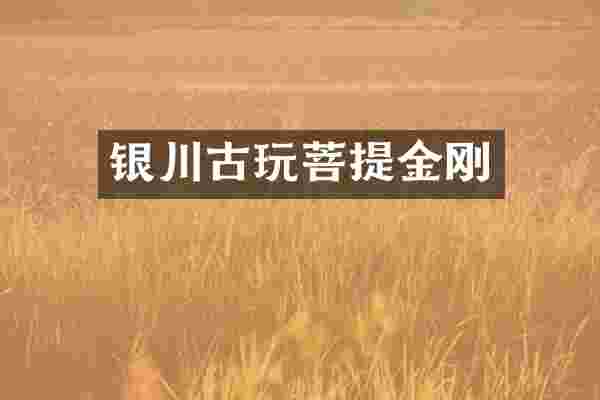 银川古玩菩提金刚