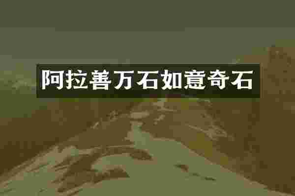 阿拉善万石如意奇石