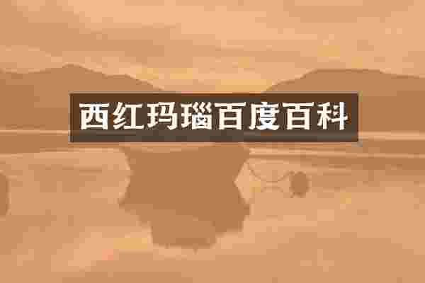 西红玛瑙百度百科