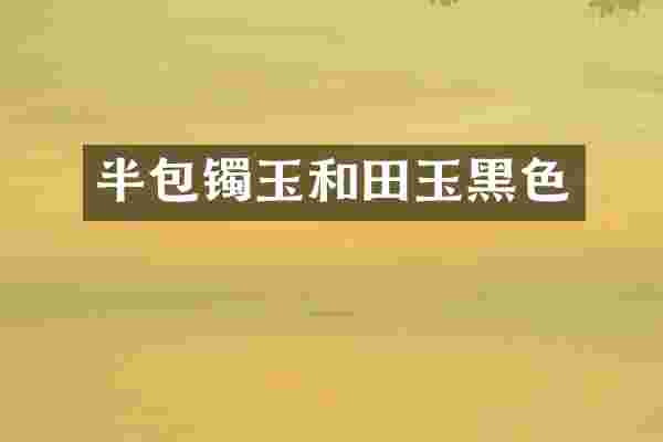 半包镯玉和田玉黑色