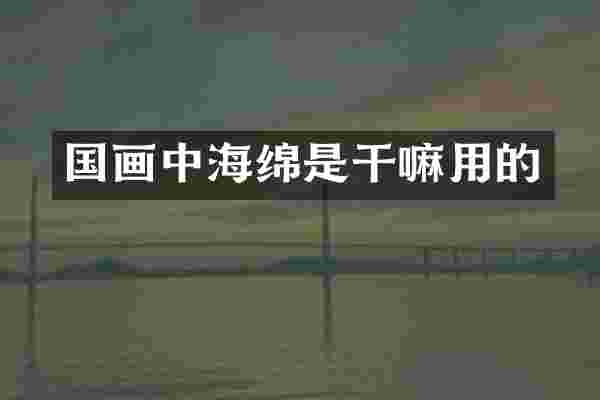 国画中海绵是干嘛用的
