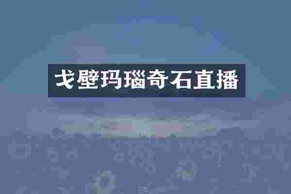 戈壁玛瑙奇石直播