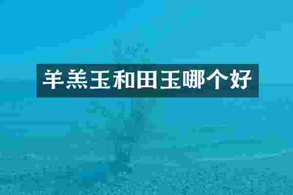 羊羔玉和田玉哪个好