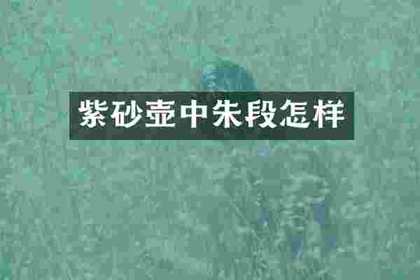 紫砂壶中朱段怎样