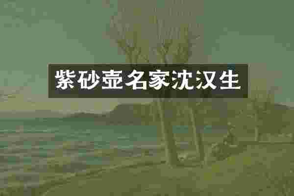 紫砂壶名家沈汉生