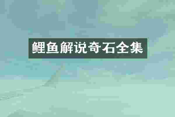 鲤鱼解说奇石全集