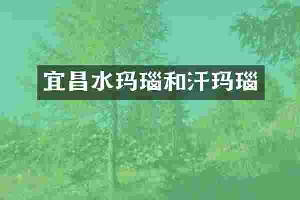 宜昌水玛瑙和汗玛瑙