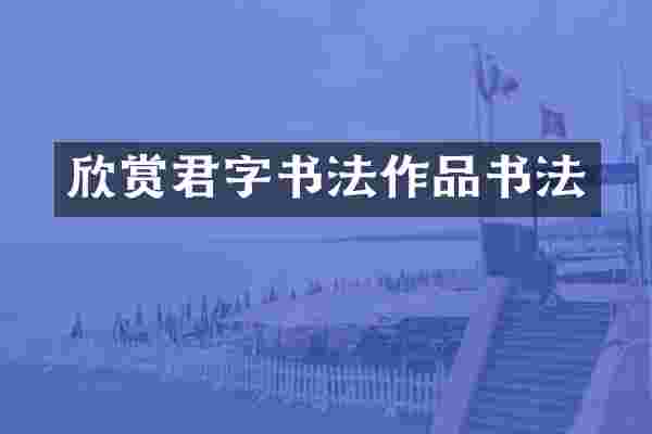 欣赏君字书法作品书法