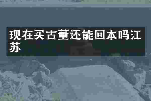 现在买古董还能回本吗江苏