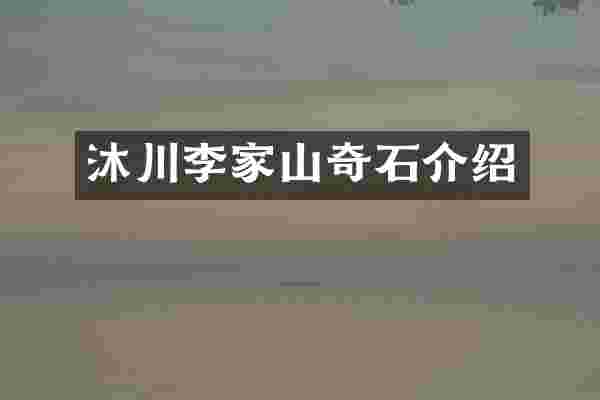 沐川李家山奇石介绍