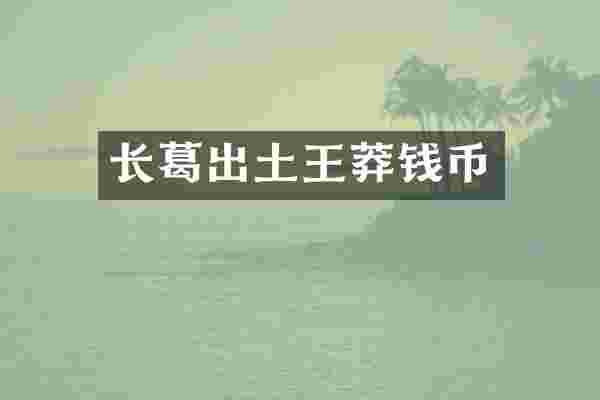 长葛出土王莽钱币