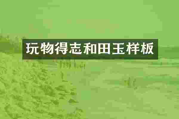 玩物得志和田玉样板
