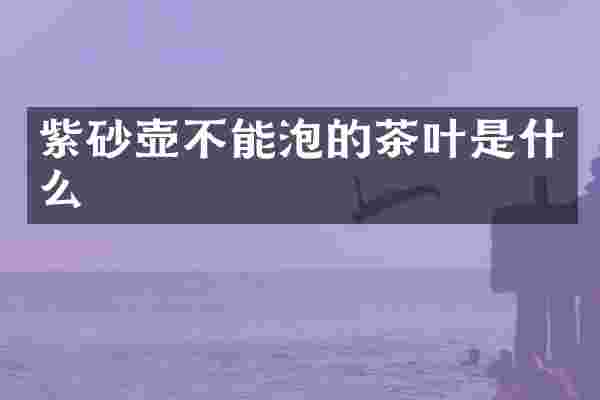 紫砂壶不能泡的茶叶是什么