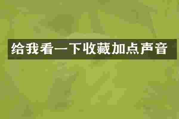 给我看一下收藏加点声音