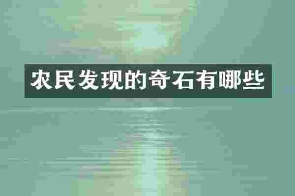 农民发现的奇石有哪些