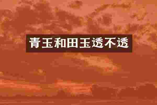 青玉和田玉透不透