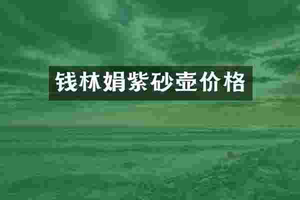 钱林娟紫砂壶价格