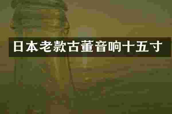 日本老款古董音响十五寸