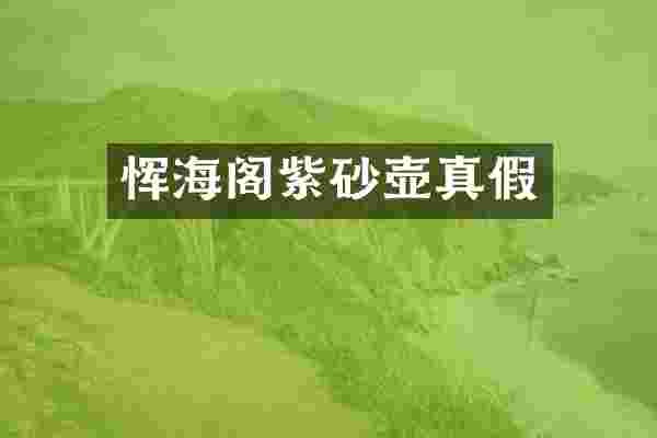 恽海阁紫砂壶真假