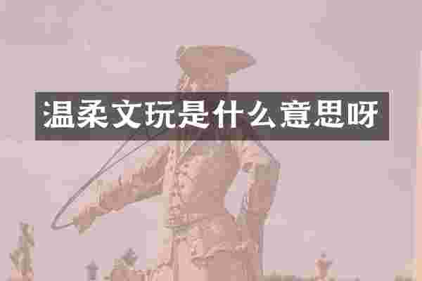温柔文玩是什么意思呀