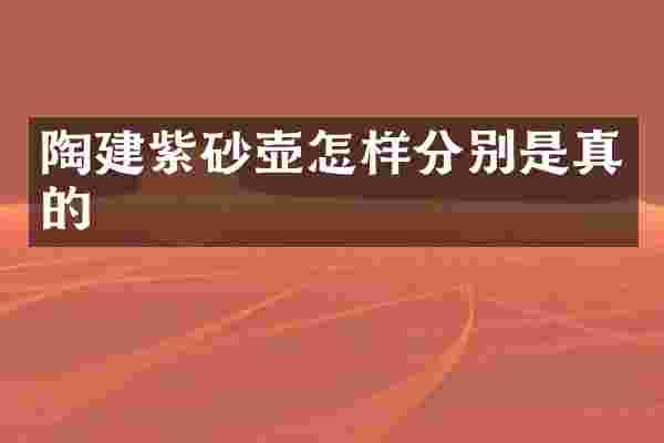 陶建紫砂壶怎样分别是真的