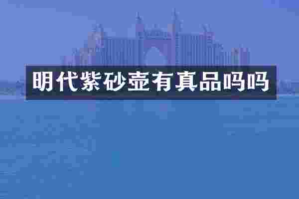 明代紫砂壶有真品吗吗