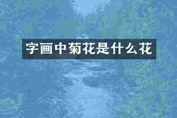字画中菊花是什么花
