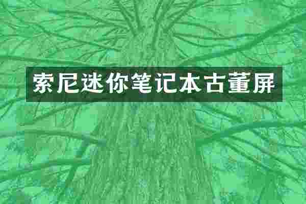 索尼迷你笔记本古董屏