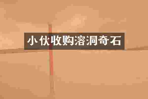小伙收购溶洞奇石