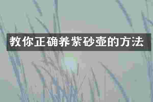 教你正确养紫砂壶的方法
