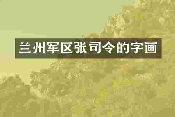 兰州军区张司令的字画