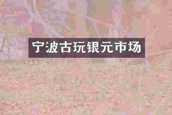 宁波古玩银元市场