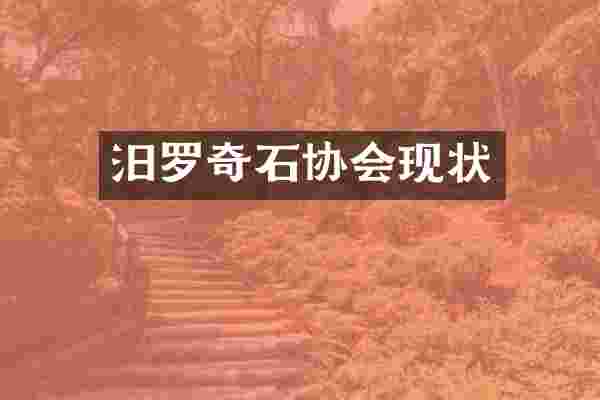 汨罗奇石协会现状