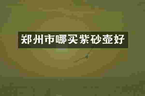 郑州市哪买紫砂壶好