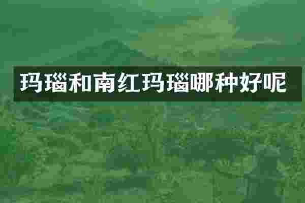 玛瑙和南红玛瑙哪种好呢