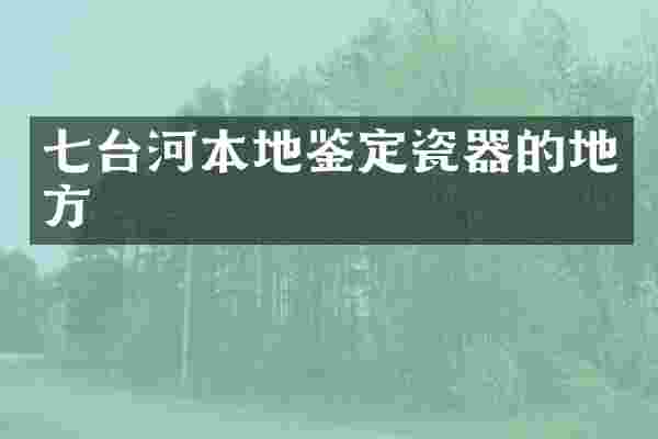 七台河本地鉴定瓷器的地方