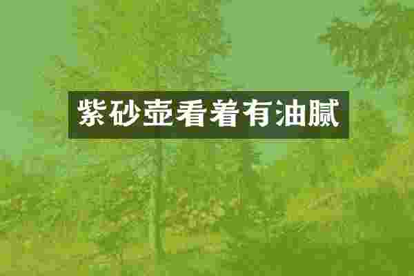 紫砂壶看着有油腻