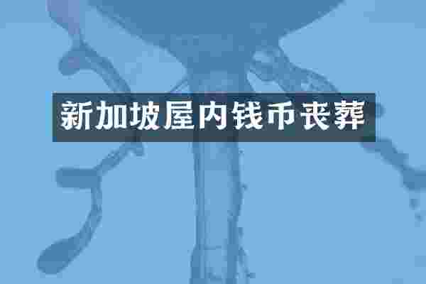 新加坡屋内钱币丧葬